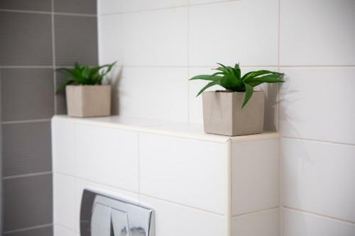 Apartman Emilio