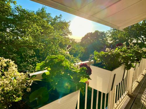 Apartamentos Ferienwohnung Natur Und Kunst