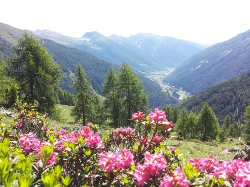 Apartamento Appartamenti Acidule