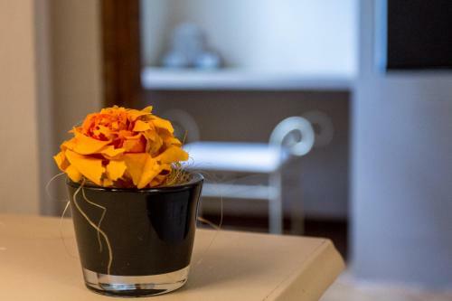 Hotel La Maison De V�