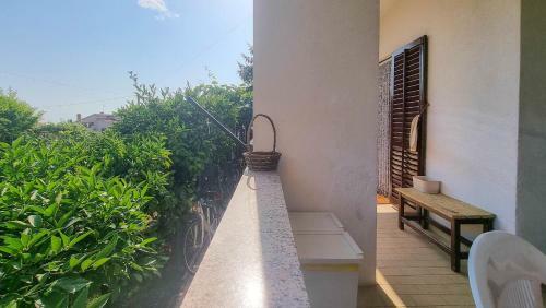 Apartamentos Marinela