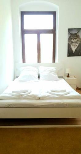 Pineapple Apartments Dresden Zwinger