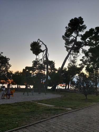 Apartmani Belvedere