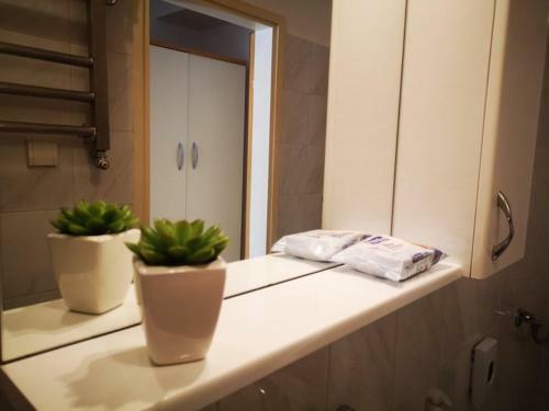 Apartmani Rita Studio