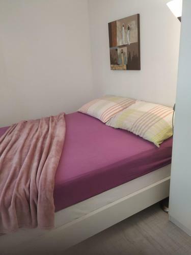 Apartman Viola Mareda