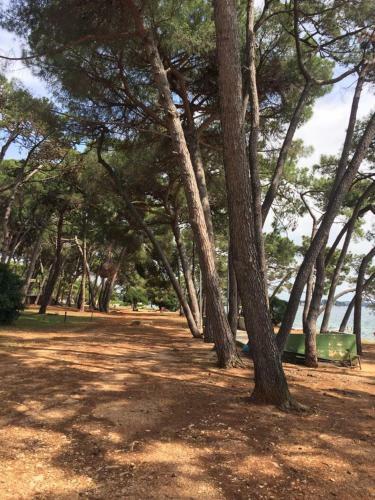 Apartamento Valentina