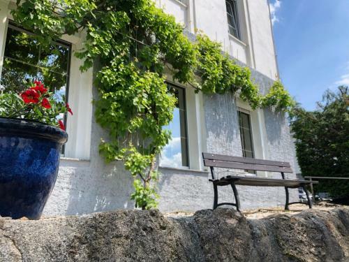 Apartamento Ferienwohung In Dresden Am Elbhang