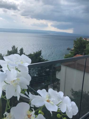Apartamentos Villa Lavanda