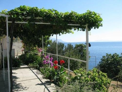 Apartments Pisak/makarska Riviera 36254