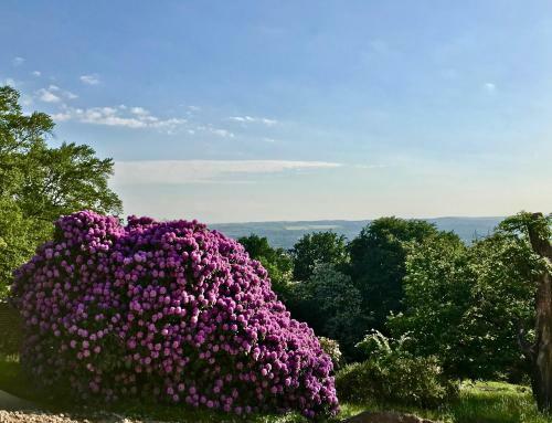 Apartamentos Ferienwohnung Natur Und Kunst