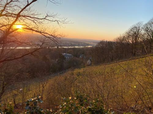 Apartamentos Ferienwohnung Natur Und Kunst
