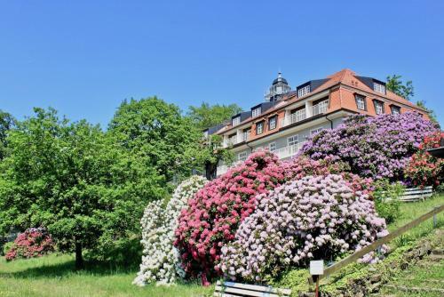 Apartamentos Ferienwohnung Natur Und Kunst
