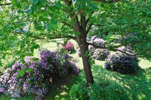 Apartamentos Ferienwohnung Natur Und Kunst