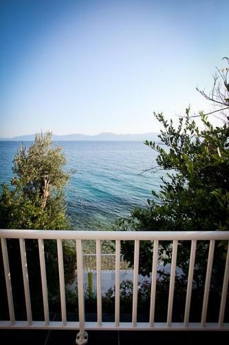Apartments Kalaba - Dalma I