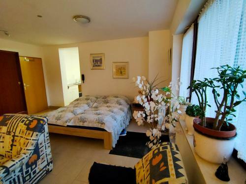 Apartamento Mkk-bed