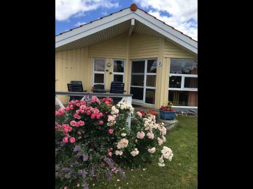 Haus Wackerballig Inkl Sauna 100 Meter Zum Strand