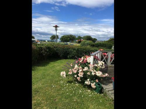 Haus Wackerballig Inkl Sauna 100 Meter Zum Strand