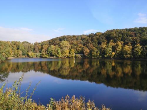 Apartamento Ferienwohnung Vulkaneifel