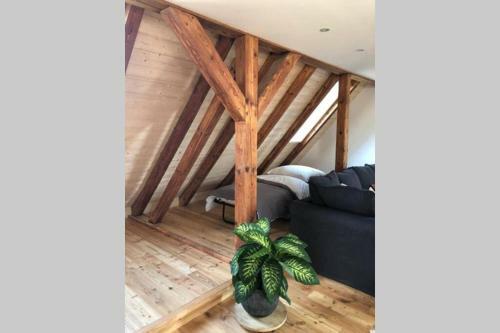 Apartamento Ruhig Gelegene, Top Moderne Ferienwohnung