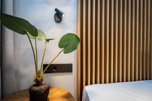 Apartamento Quartier Eichenweg App 6