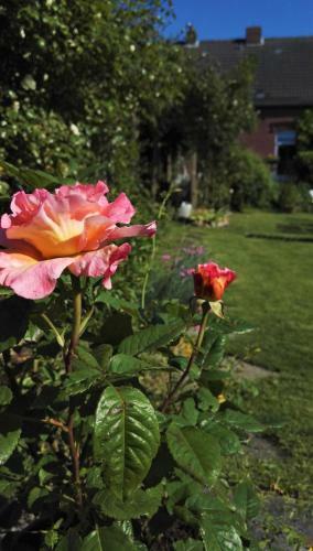 Apartamento Romantischer Winkel