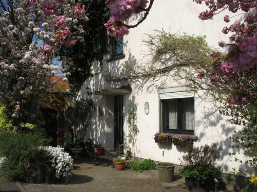 Apartamento Ferienwohnung Kirschbl�te
