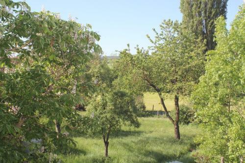 Apartamento Fewo Am Schlossberg