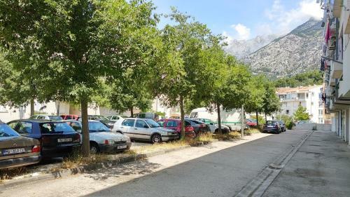 Nikolic Apartment