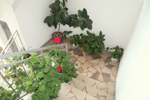 Hostal Apartments Villa Ravli?