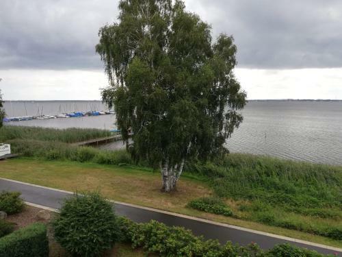Apartamento Ferienwohnung Direkt Am Steinhuder Meer