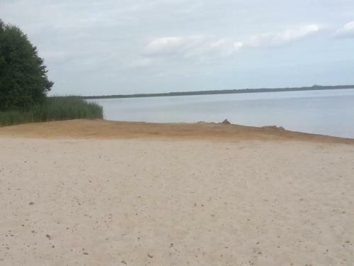 Apartamento Ferienwohnung Direkt Am Steinhuder Meer