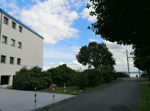 Apartamento Ferienwohnung Direkt Am Steinhuder Meer