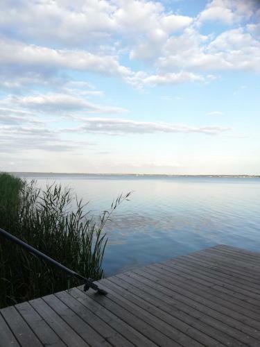 Apartamento Ferienwohnung Direkt Am Steinhuder Meer
