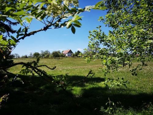 Ferienhaus Nordschwarzwald