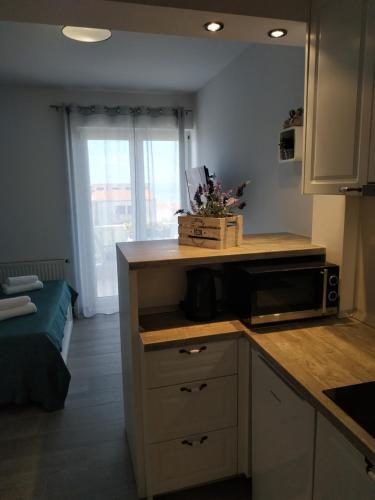 Apartments Toma?