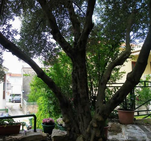 Apartamentos Dreams