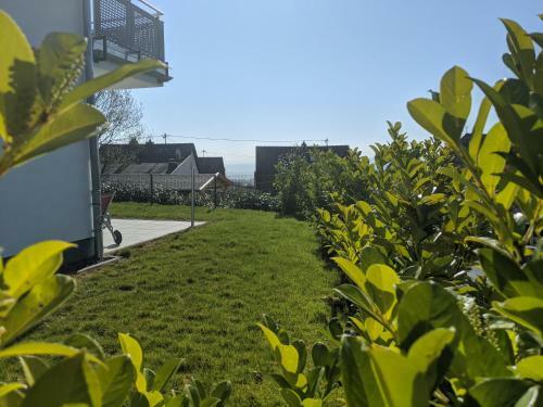 Apartamento Ferienwohnungen Pellenzblick - Wohnen Auf Zeit -