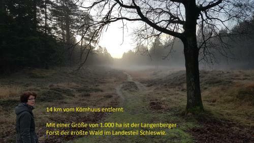 Ferienhaus K�mhuus