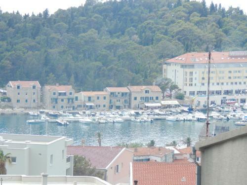 Apartman Karlo