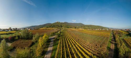 Ferienhaus Weinh�usel