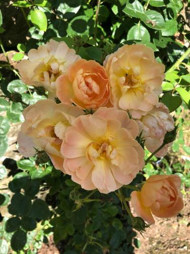 Bed & Breakfast Die Talm�hle