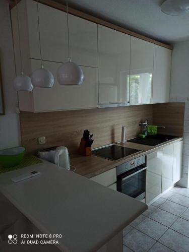 Apartman Robertino 1966