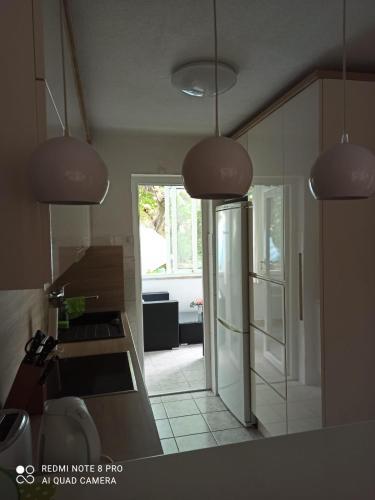 Apartman Robertino 1966