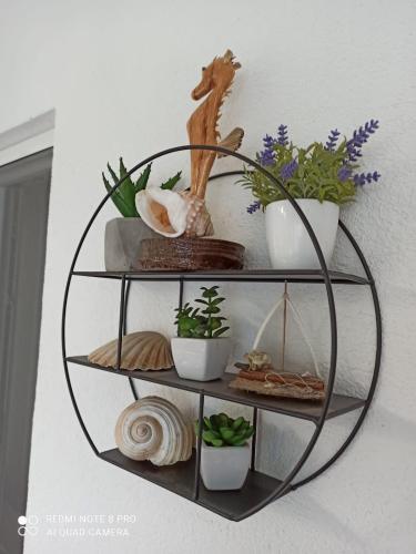 Apartman Robertino 1966