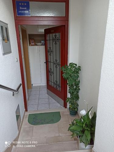 Apartman Robertino 1966
