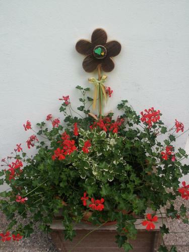 Apartamento Aria D'bosch