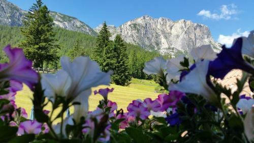 Apartamento Chalet Alla Cascata