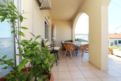 Apartments Branka