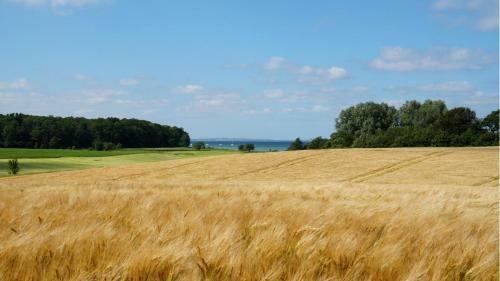 Apartamento Landhaus Esgrus Wohnung Ostseeblick