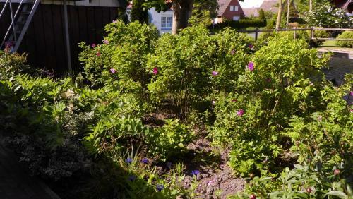 Refugium Im Nordseewind